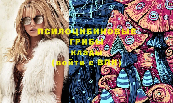 герыч Вяземский