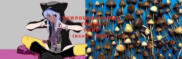 герыч Вяземский