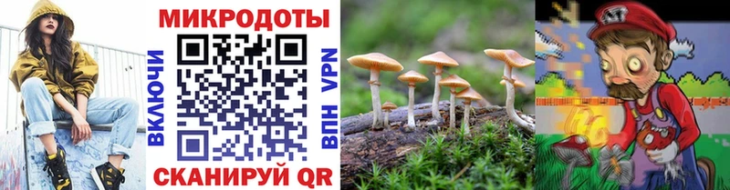 Псилоцибиновые грибы Psilocybine cubensis  Купить где  Пересвет 