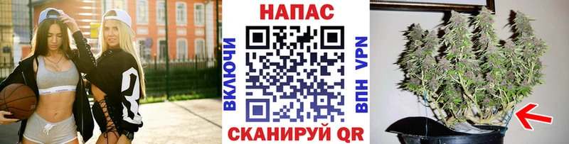 Канабис марихуана Купить где Пересвет
